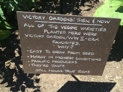 Modern Victory Gardens To Combat Climate Change All The Toxic